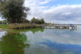 Ein Blick vom Ufer über einen See, Bäume am Ufer und Wolken am Himmel