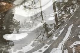 Ein Bild spiegel sich in einer Pfütze